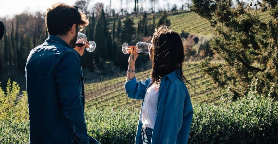 From Florence: Chianti Hills Half-Day Tour with Wine Tasting - Seven wines, from sparkling wine to vin santo