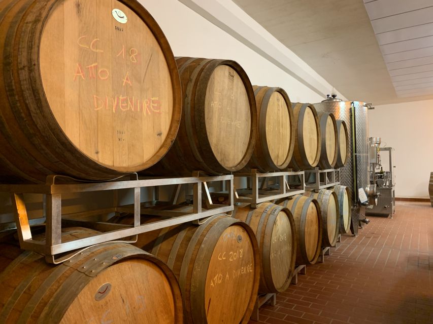 From Florence: Chianti Hills Half-Day Tour with Wine Tasting - Local food makes the tasting feel like lunch