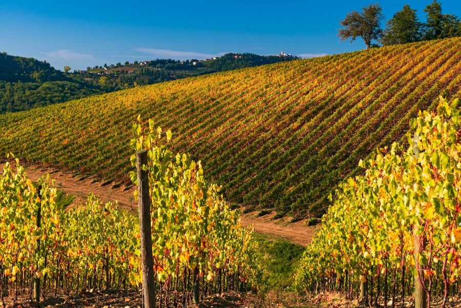 From Florence: Chianti Hills Half-Day Tour with Wine Tasting - The vinegar cellar and Tuscany beyond wine