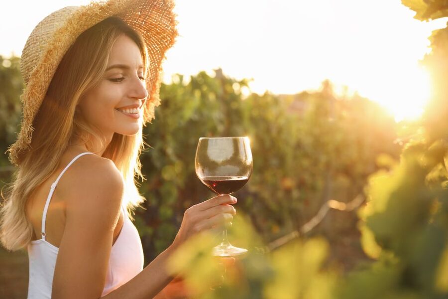 From Florence: Chianti Hills Half-Day Tour with Wine Tasting - Guides, transport, and group feel