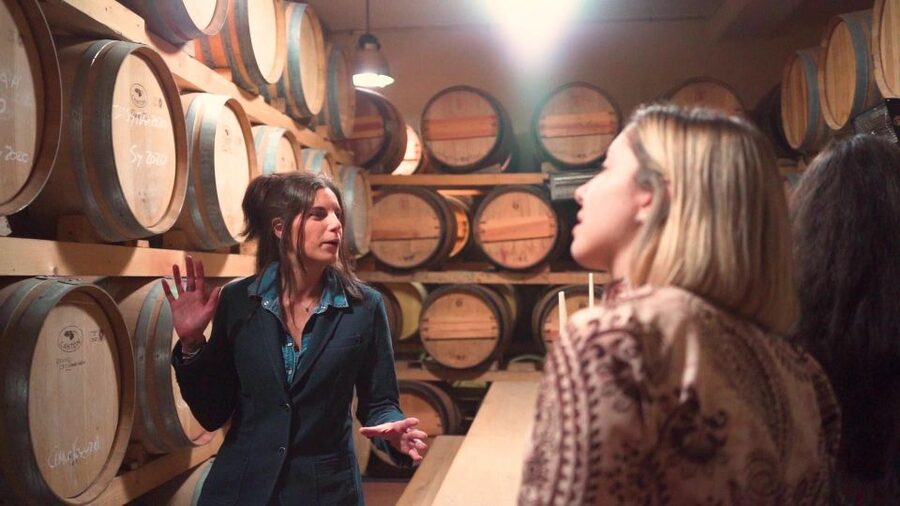 From Florence: Chianti Tour with Two Wine and Food Tastings - Timing, Group Feel, and Practical Comfort