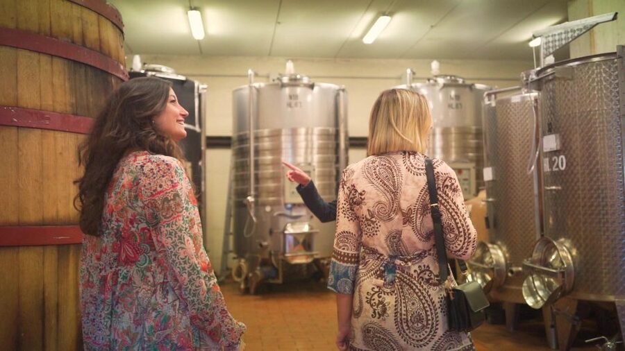 From Florence: Chianti Tour with Two Wine and Food Tastings - Who Will Enjoy This Chianti Trip Most?