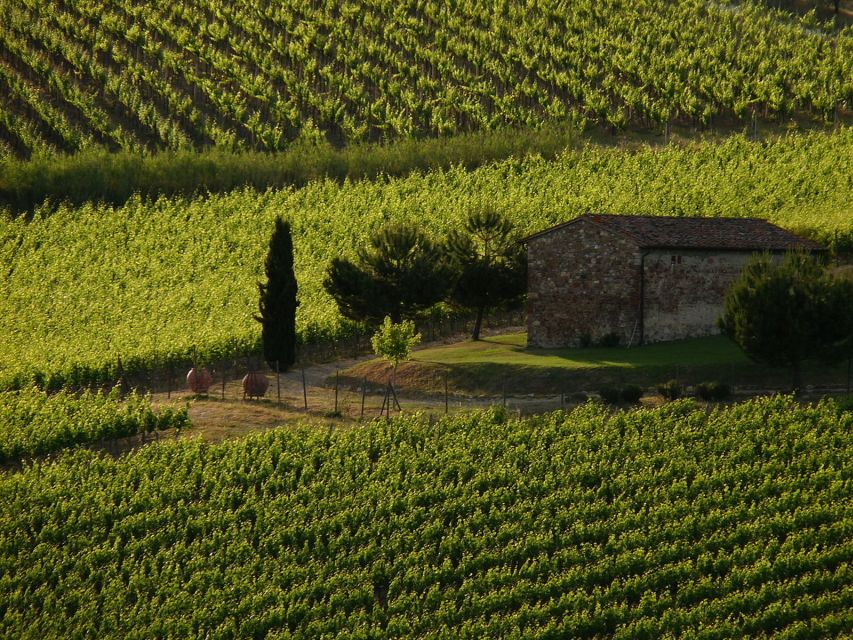 From Florence: Chianti Wine Tastings at Sunset Day Trip - Key points to know before booking