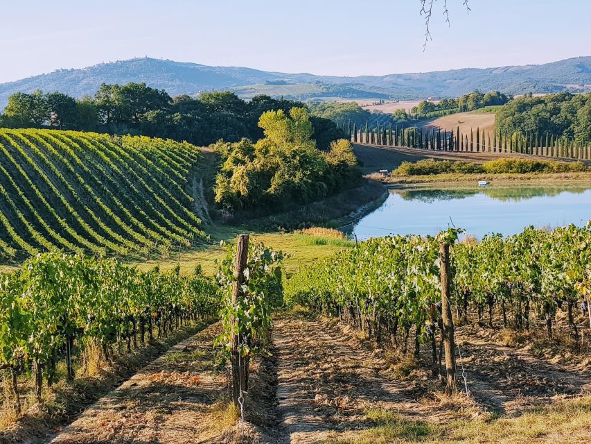 From Florence: Chianti Wine Tastings at Sunset Day Trip - The first family estate: wine, cellar, and local character