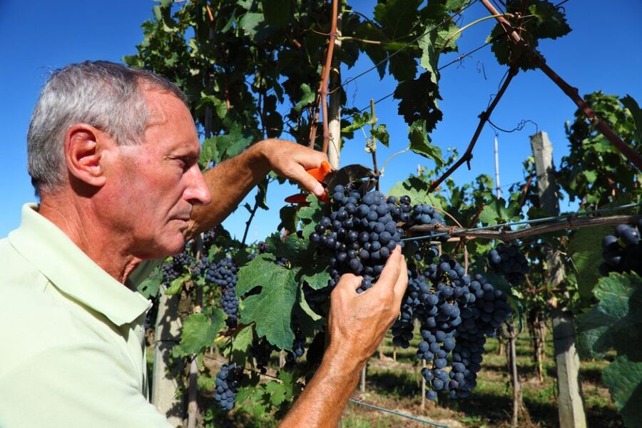 From Florence: Chianti Wine Tour with Tasting - Guides can make or break a group tour