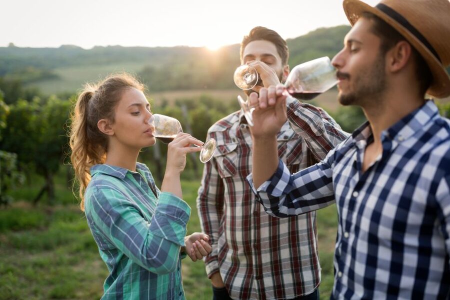 From Florence: Chianti Wine Tour with Tasting - Who should choose this wine tour?
