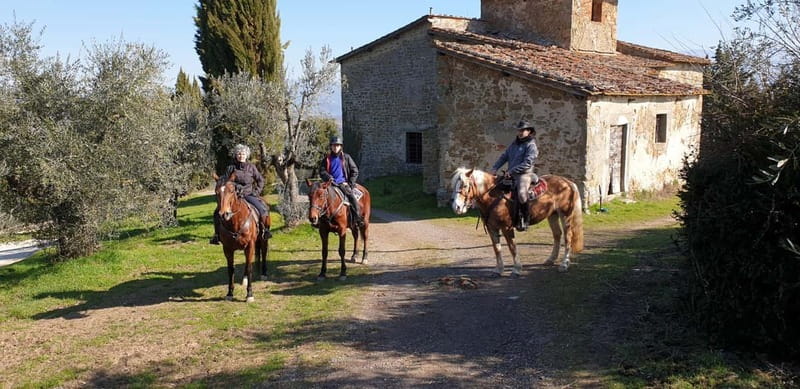 From Florence: Horse Ride and Wine Tour at Estate with Lunch - Lunch with pecorino, cold cuts, and bruschetta