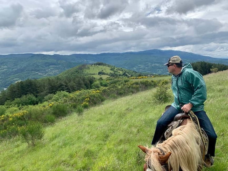 From Florence: Horse Ride and Wine Tour at Estate with Lunch - How the $377 price measures up