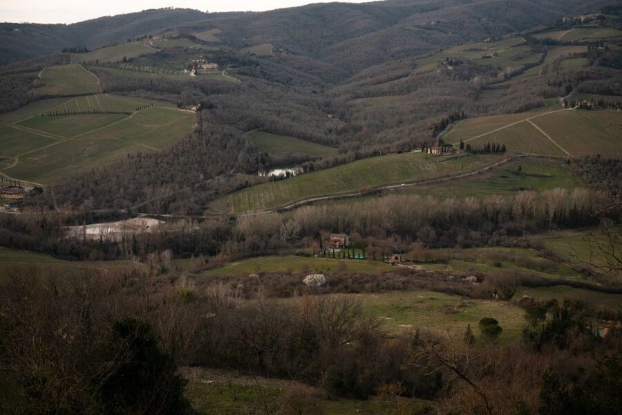 From Florence: Private Chianti Hills Tour with Tasting - Key points at a glance
