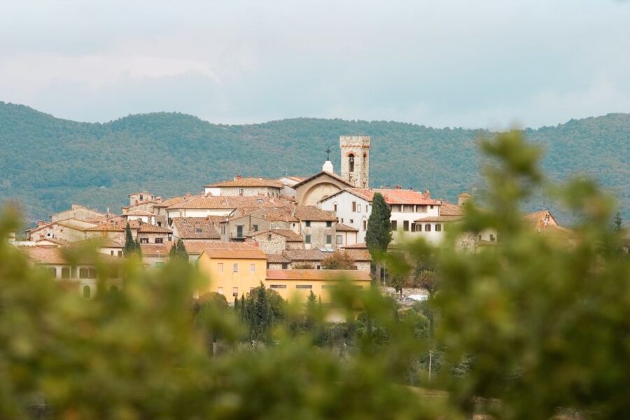From Florence: Private Chianti Hills Tour with Tasting - Who should book this Chianti outing?