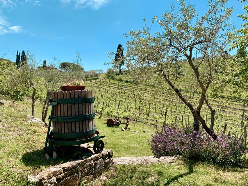 From Florence: Private Chianti Hills Tour with Tasting - Is $1,166 good value?