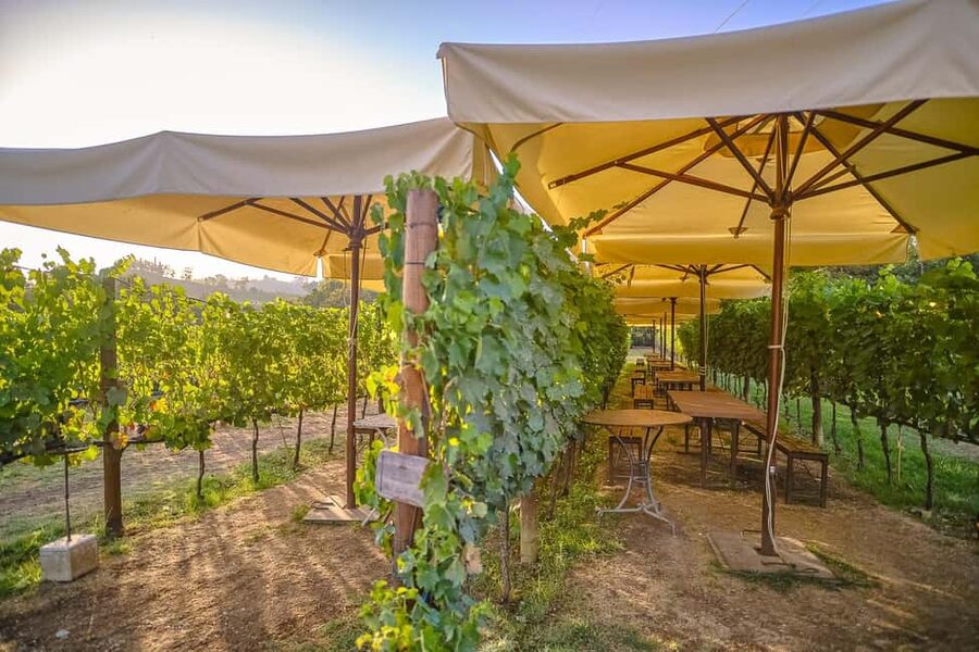 From Florence: Siena and Chianti Wine Tour with Dinner - Why the $105 price can make sense