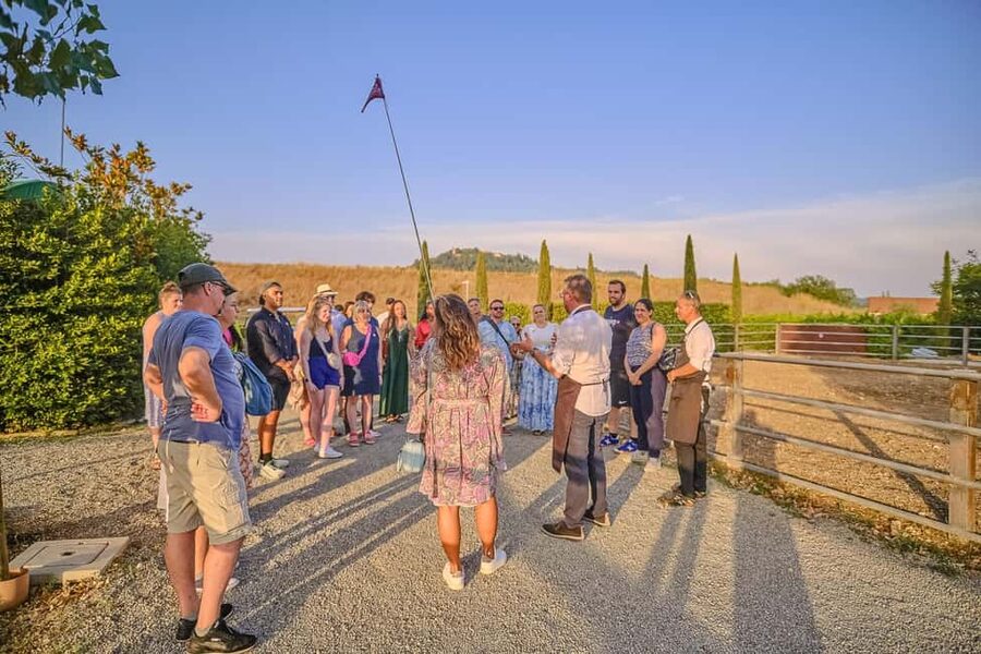 From Florence: Siena and Chianti Wine Tour with Dinner - Guides, drivers, and the group experience