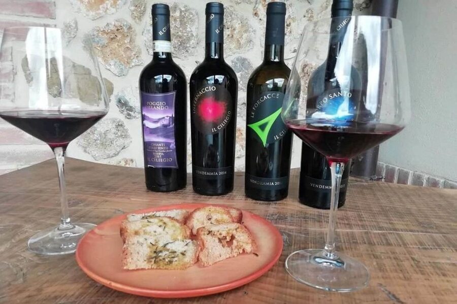 From Florence: Siena & San Gimignano Tour with Wine & Lunch - What $84.96 gets you