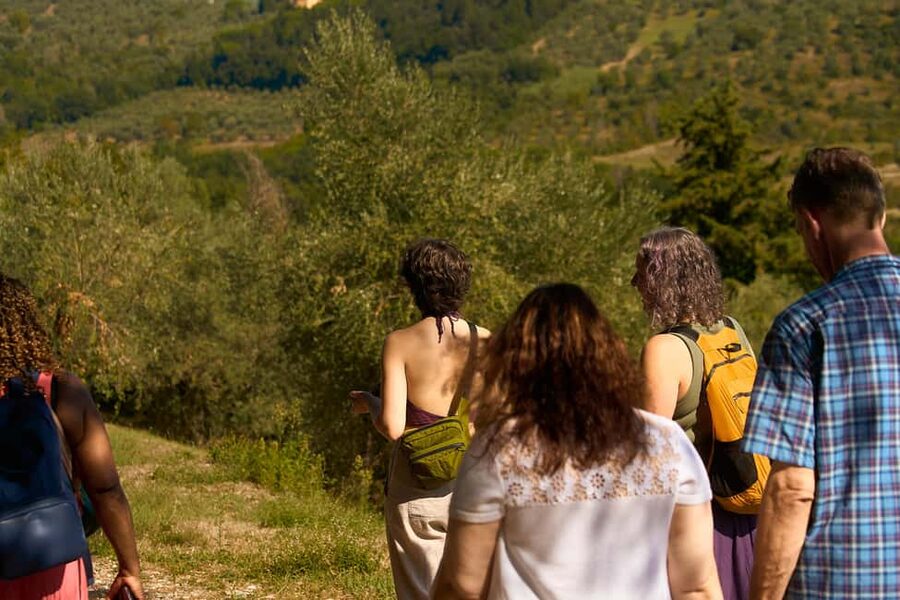 From Florence: Small Group Chianti Wine Tour with Lunch - Key points at a glance