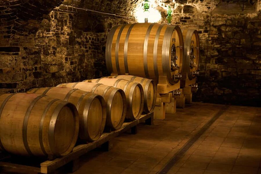 From Florence: Small Group Chianti Wine Tour with Lunch - The first winery brings modern Chianti into view