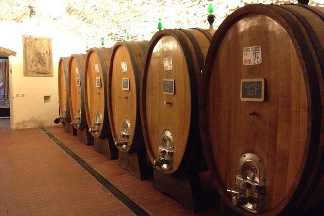 From Florence: Small-Group Tuscany Wine & Oil Tour with typical Tuscan Meal - Greve in Chianti and the language of Sangiovese