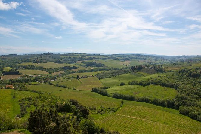 From Florence: Small-Group Tuscany Wine & Oil Tour with typical Tuscan Meal - Lunch at the final estate