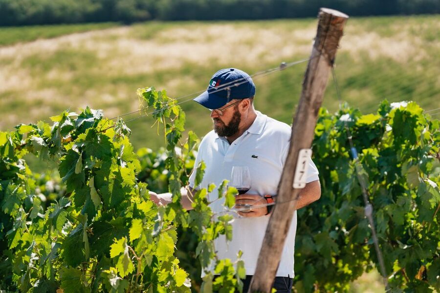 From Florence: Small Group Wine Tasting Tour to Tuscany - The second estate: food, cellars, and a useful comparison