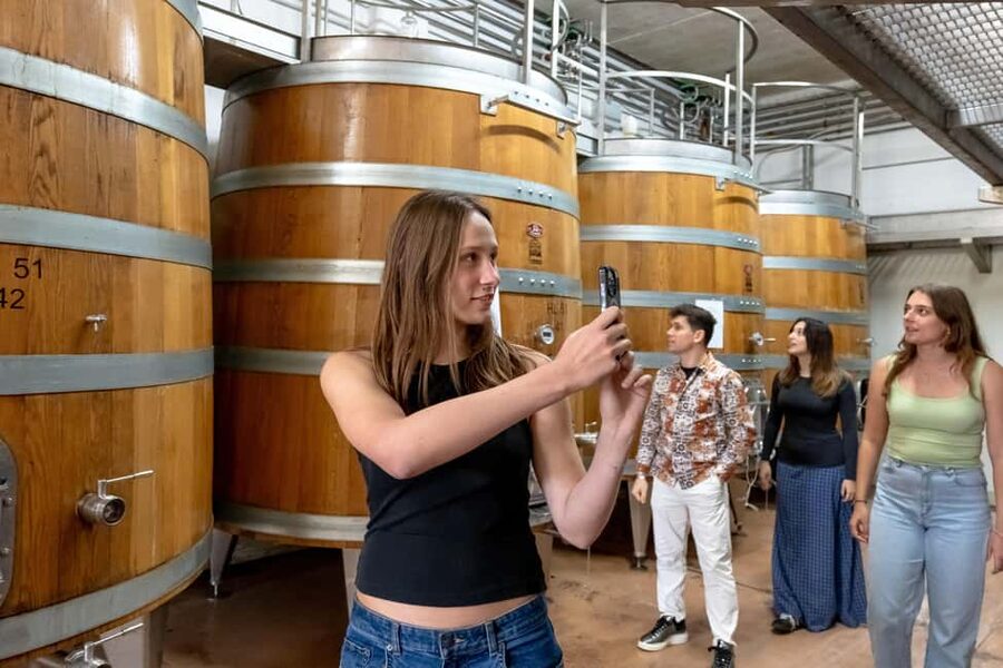 From Florence: Tuscany, Siena, San Gimignano & Winery Lunch - A Chianti winery with lunch at the center