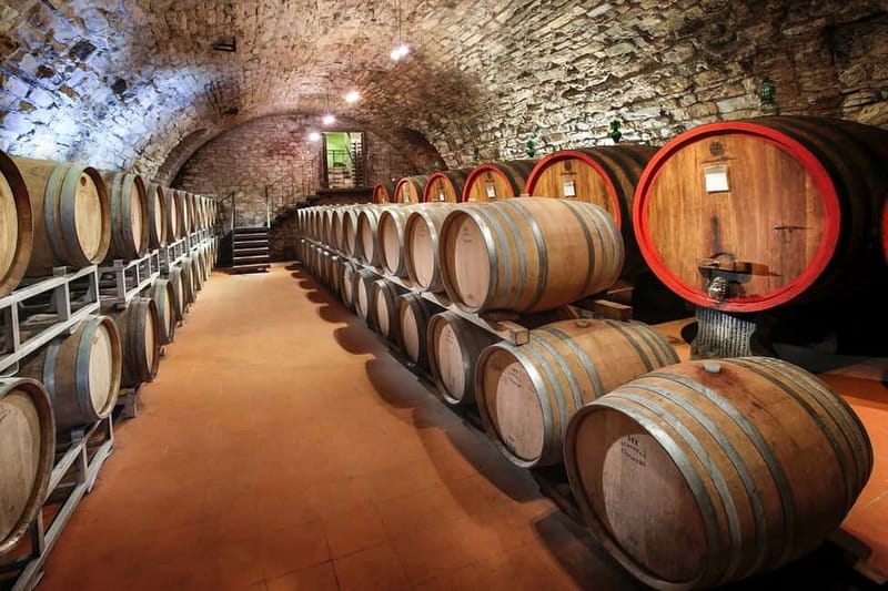 From Florence: Tuscany Wine & Food Tour with Guide - First winery: farm, cellar, and the making of Chianti