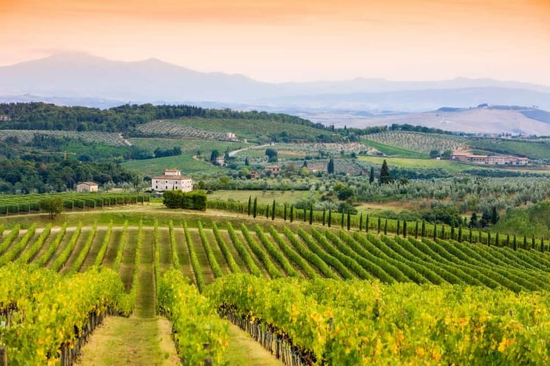 From Florence: Tuscany Wine & Food Tour with Guide - Second hilltop estate: wine, lunch, and local products