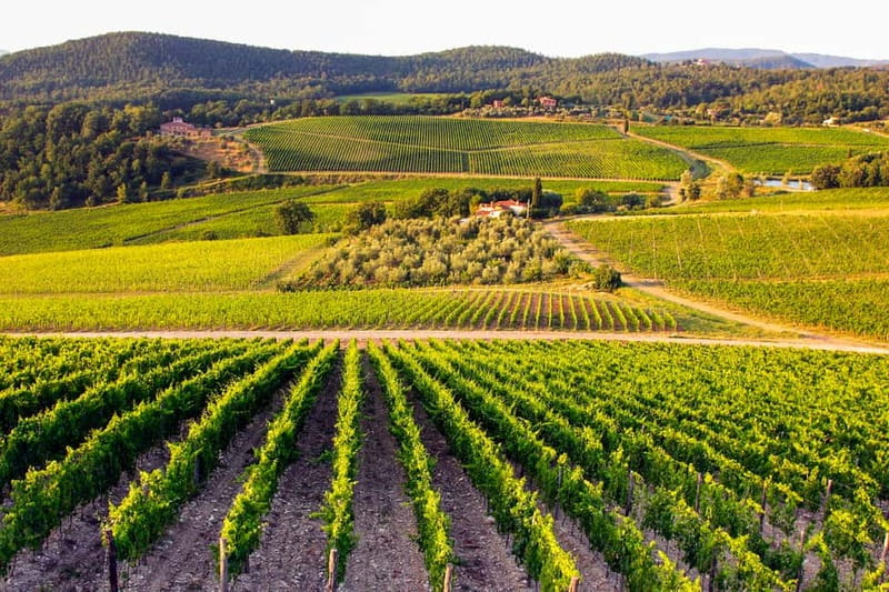 From Florence: Tuscany Wine & Food Tour with Guide - Final stop: a family villa with views toward Florence