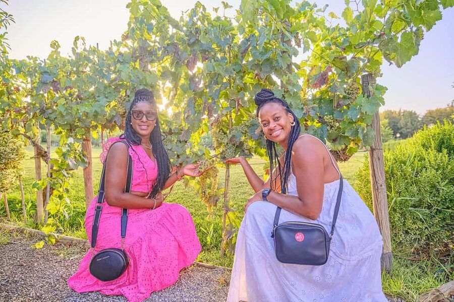 From Florence: Wine Tasting and Dinner in Chianti Vineyards - The second estate turns tasting into dinner