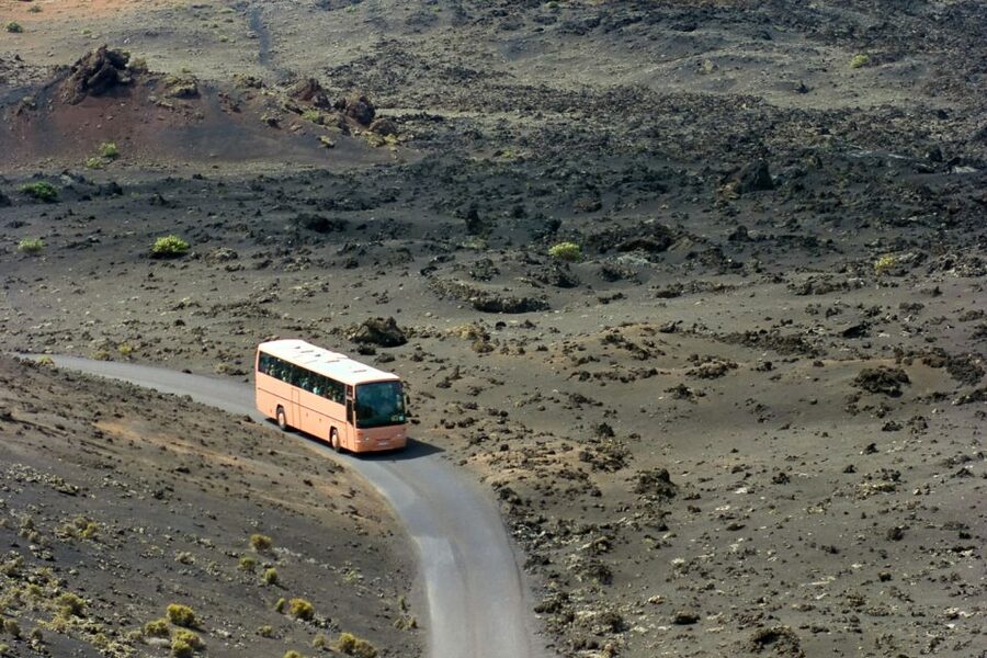 From Fuerteventura: Lanzarote Volcano and Wine Region Tour - The aloe vera museum, with a sales stop attached