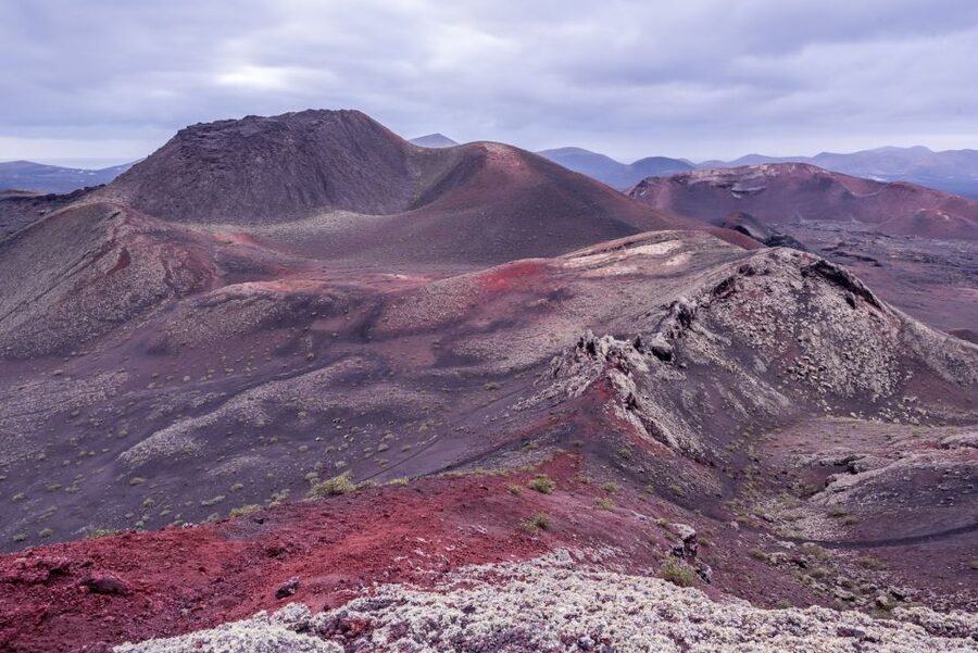 From Fuerteventura: Lanzarote Volcano and Wine Region Tour - Food, timing, and the daily rhythm