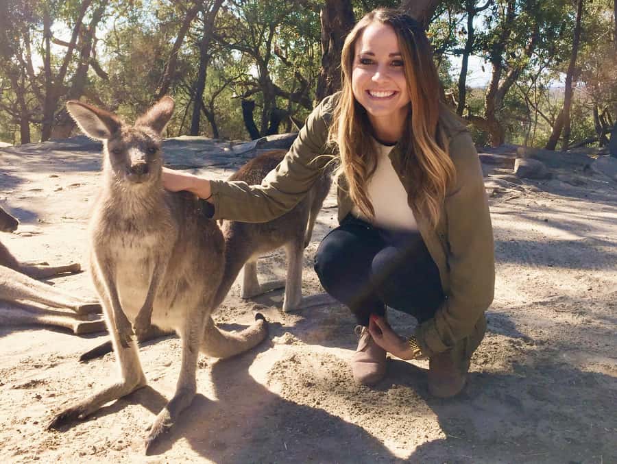 From Haymarket: Hunter Valley Wine and Wildlife Day Trip - Key points at a glance