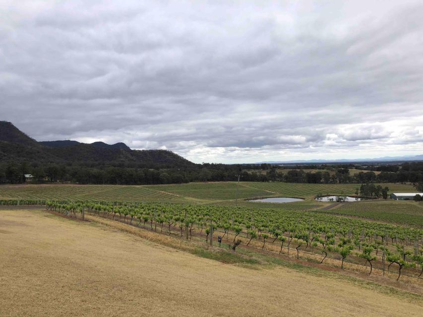 From Haymarket: Hunter Valley Wine and Wildlife Day Trip - Practical details before you book