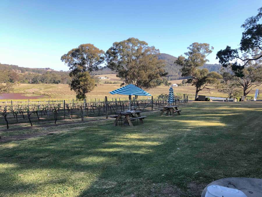 From Haymarket: Hunter Valley Wine and Wildlife Day Trip - What the AUD 88 price really means