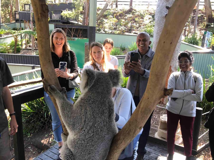 From Haymarket: Hunter Valley Wine and Wildlife Day Trip - Who will enjoy this day most?