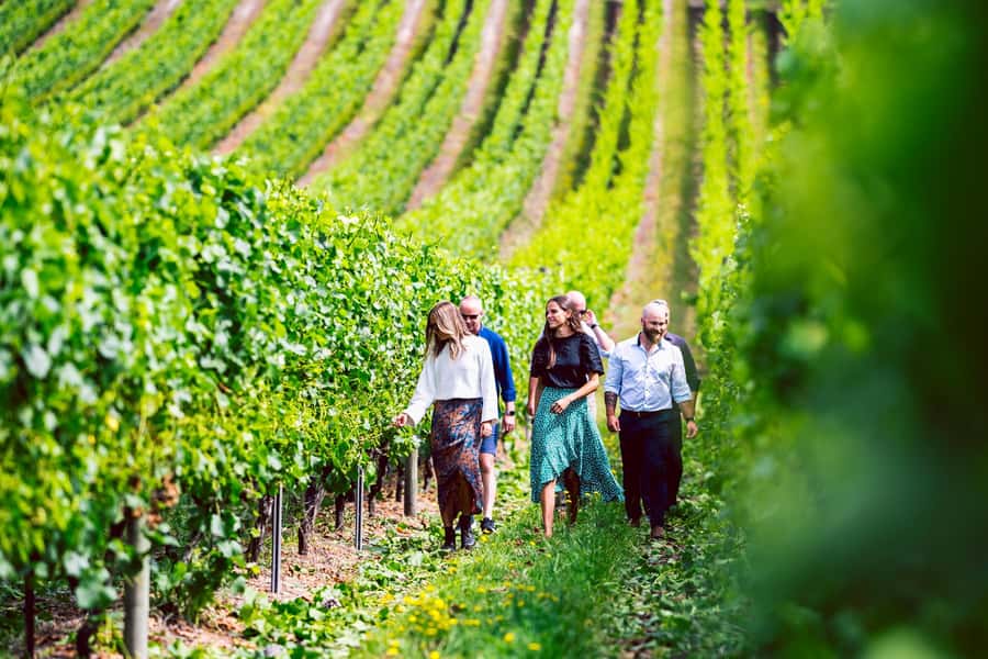 From Hobart: Tasmanian Wine Tour - Four useful things to know before booking