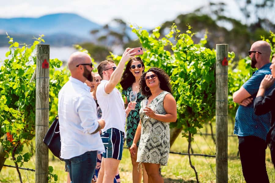 From Hobart: Tasmanian Wine Tour - Why this Southern Tasmania wine day works