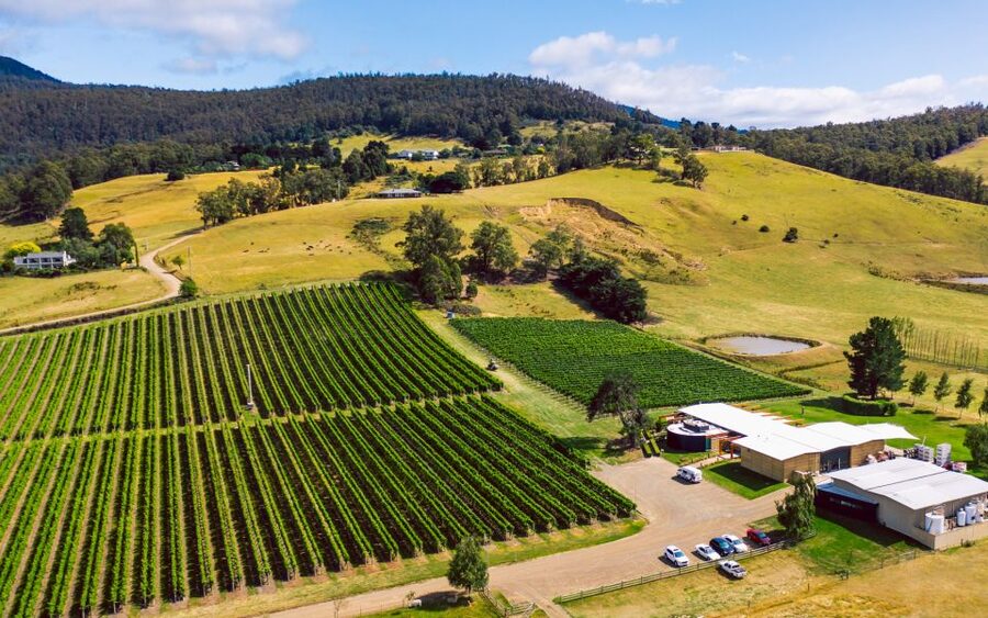 From Hobart: Tasmanian Wine Tour - Who should book, and who should skip it