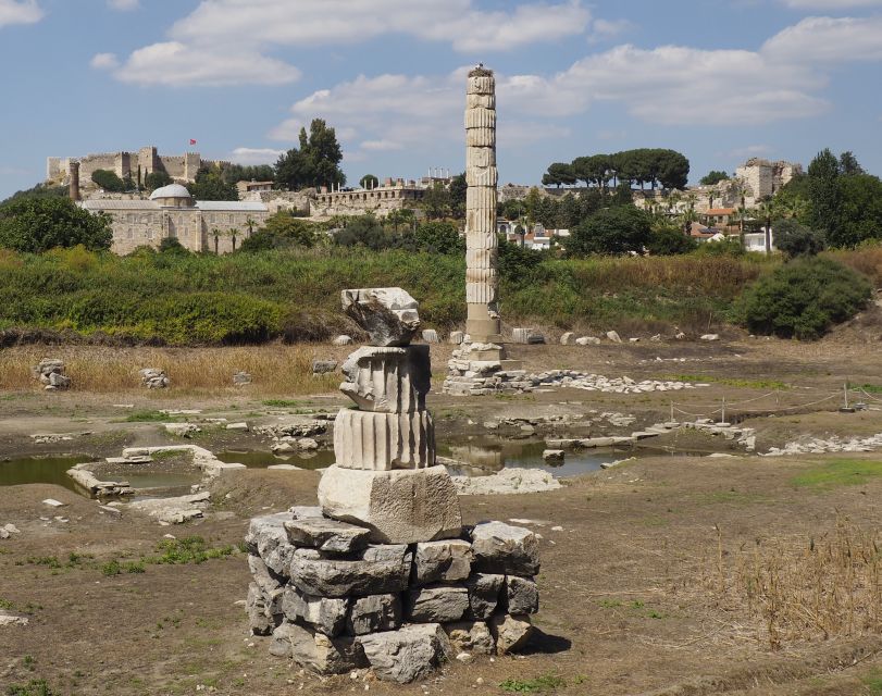 From Istanbul: Ephesus & Şirince Day Trip w/ Wine Tasting - The Temple of Artemis and three memorable views
