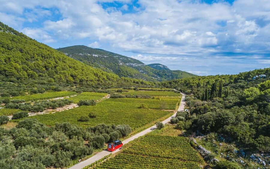 From Korcula Town: Local Wine & Sightseeing Half-Day Tour - Why this tour makes sense on Korcula