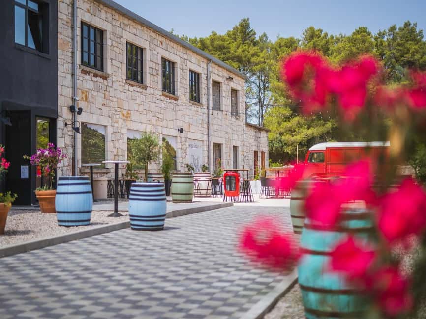 From Korcula Town: Local Wine & Sightseeing Half-Day Tour - Vineyards, island roads, and the return to town
