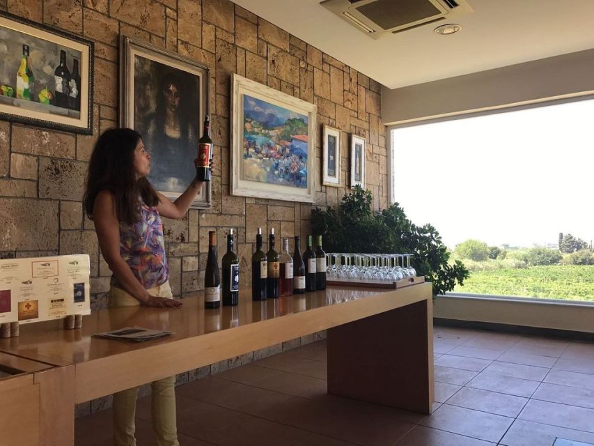 From Kos: Tour of 2 Wineries with Wine Tasting & Small Bites - Price, timing, and overall value