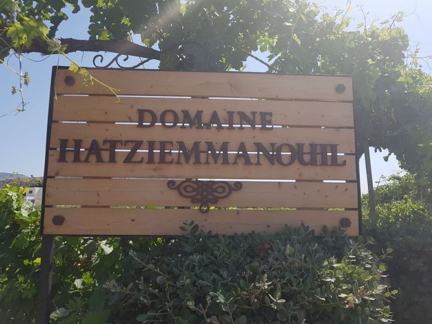 From Kos: Tour of 2 Wineries with Wine Tasting & Small Bites - Why this Kos wine tour is worth your afternoon