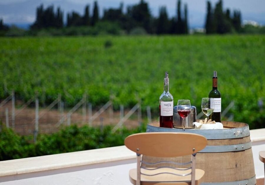 From Kos: Tour of 2 Wineries with Wine Tasting & Small Bites - Learning the five steps of wine tasting