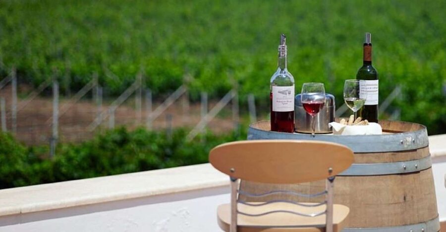 From Kos: Tour of 2 Wineries with Wine Tasting & Small Bites - Starting with three generations at Petra Marinou