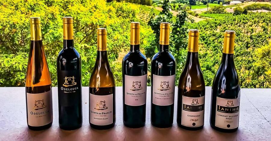 From Lagos: Small-Group 4-Hour Wine Tasting Tour - Key points at a glance