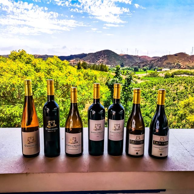 From Lagos: Small-Group 4-Hour Wine Tasting Tour - Why this four-hour Lagos tour works