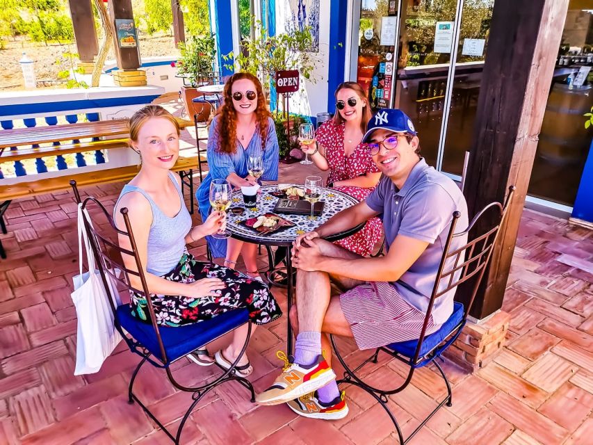 From Lagos: Small-Group 4-Hour Wine Tasting Tour - Who should book this experience?