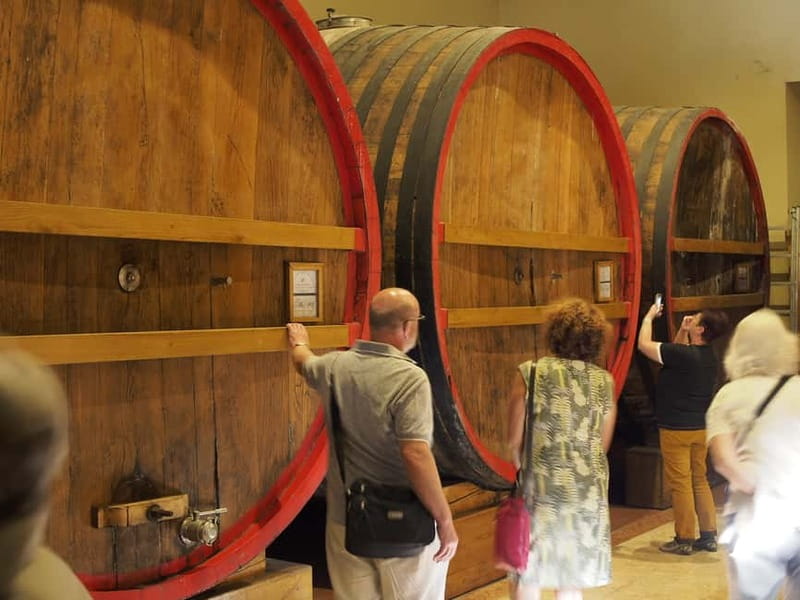 From Lake Garda: Valpolicella Wine & Lunch Guided Trip - Should you book this Valpolicella day trip?