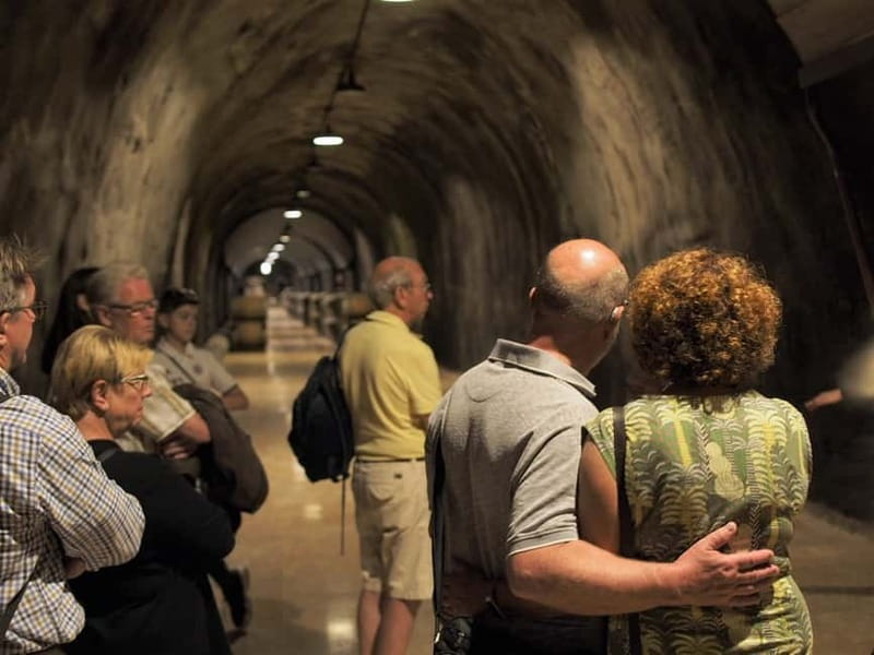 From Lake Garda: Valpolicella Wine & Lunch Guided Trip - Why Valpolicella makes a good day from Lake Garda