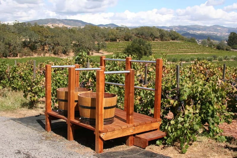 From Lake Garda: Valpolicella Wine & Lunch Guided Trip - What the guide adds, and where the day can wobble